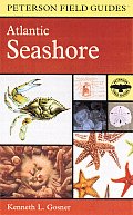 A Field Guide to the Atlantic Seashore: From the Bay of Fundy to Cape Hatteras (Peterson Field Guides) Cover