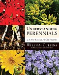 Understanding Perennials: A New Look at an Old Favorite (Frances Tenenbaum Books)