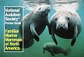 Familiar Marine Mammals (Audubon Society Pocket Guides)