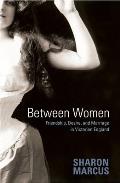 Between Women: Friendship, Desire and Marriage in Victorian England Cover