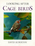 Looking after cage birds