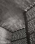 Helene Binet: Composing Space: The Photographs of Helene Binet Cover