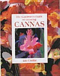 Gardeners Guide To Growing Cannas