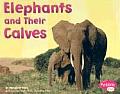 Elephants and Their Calves (Pebble Plus: Animal Offspring)