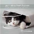 Purr-Ables from Heaven: Inspirational Stories for Cat Lovers