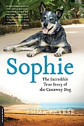 Sophie: The Incredible True Story of the Castaway Dog