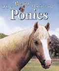 The Best Book of Ponies (Best Book Of...)