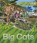 Big Cats (Explorers)