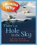 I Wonder Why There's a Hole in the Sky (I Wonder Why)