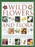 The World Encyclopedia of Wild Flowers and Flora: An Authorative Guide to More Than 750 Wild Flowers of the World, Beautifully Illustrated with More T