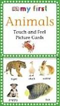 My First Touch & Feel Picture Cards: Animals