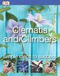 Clematis & Climbers