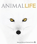Animal Life (American Museum of Natural History) Cover