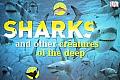 Sharks and Other Creatures of the Deep Cover