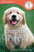 DK Readers: Surprise Puppy (DK Reader - Level 1)