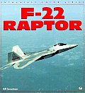 F-22 Raptor (Enthusiast Color)