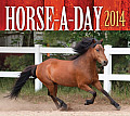 Horse-A-Day 2014