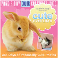 Cute Overload Page-A-Day Calendar Cover