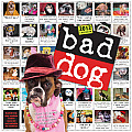 Bad Dog Calendar