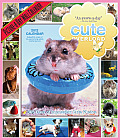 Cute Overload Wall Calendar: 365 Days of Impossibly Cute Photos