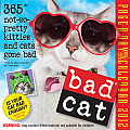 Bad Cat 2012 Page-A-Day Calendar