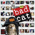 Bad Cat Calendar Cover