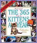 The 365 Kittens a Year Calendar Cover
