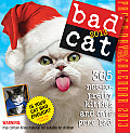 Bad Cat 2013 Page-A-Day Calendar