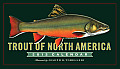 Trout of North America 2013 Wall Calendar