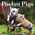 Pocket Pigs Calendar: The Teacup Pigs of Pennywell Farm Cover