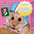 Cute Overload Page-A-Day Calendar Cover