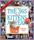 The 365 Days of Kittens a Year Calendar