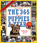 The Original The 3-6-5 Days of Puppies a Year Calendar (Picture-A-Day Wall Calendars)