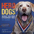 Hero Dogs: Ordinary Dogs Doing Extraordinary Things