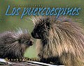 Los Puercoespines / Porcupines