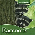 Animals Animals #11: Raccoons