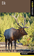 Elk: A Falcon Field Guide [Tm] (Falcon Field Guide) Cover