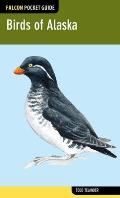 Falcon Pocket Guide: Birds of Alaska (Falcon Field Guides)