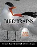 Bird Brains: Inside the Strange Minds of Our Fine Feathered Friends