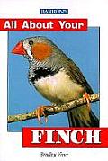 All about Your Finch (All about Your--)