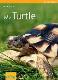 My Turtle Cover