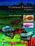 Cenozoic Fossils 1: Paleogene