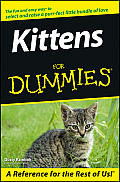 Kittens for Dummies