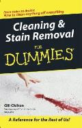 Cleaning & Stain Removal for Dummies