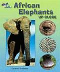 African Elephants Up Close (Zoom in on Animals!) Cover