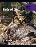 Birds of Ontario: Habitat Requirements, Limiting Factors, and Status: Nonpasserines: Shorebirds through Woodpeckers
