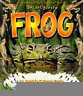 The Life Cycle of a Frog