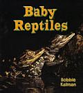 It's Fun to Learn about Baby Animals #7: Baby Reptiles