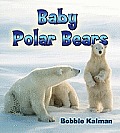 It's Fun to Learn about Baby Animals #19: Baby Polar Bears Cover