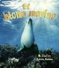 Vida en el Mar #1: El Bioma Marino